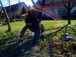 IMG_20160314_112008 (1)  