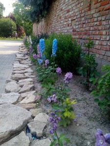 IMG 20160609 154717 