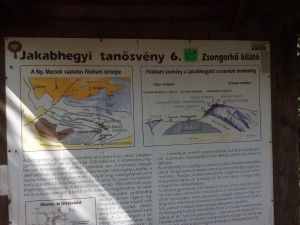 IMG 20161001 124733