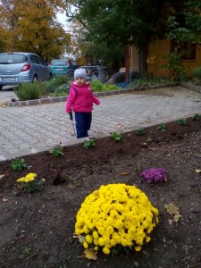 IMG 20161019 160842