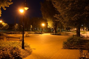 Vincze Balázs - Éjjel a parkban N 