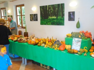 DSC00839