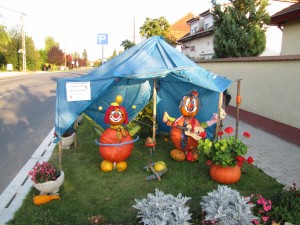 IMG 0677